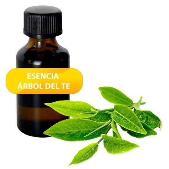 Herbi Feet Tea Tree Essential Oil