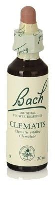 Original Flower Essences Bach 9 Clematis 20 ml