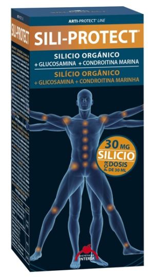 Intersa Sili Protect 500 ml